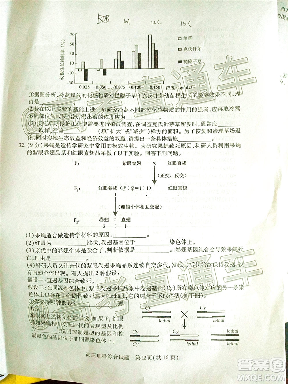 2020年運(yùn)城二模理科綜合試題及答案