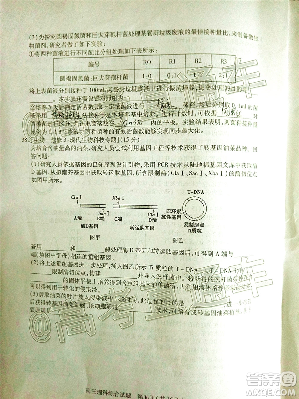 2020年運(yùn)城二模理科綜合試題及答案