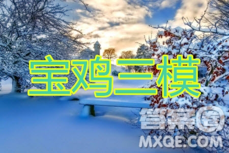 2020年寶雞市高考模擬檢測(cè)三理科數(shù)學(xué)試題及答案