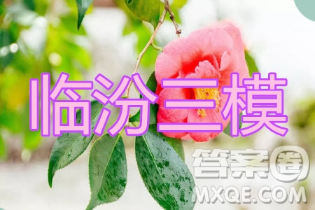 臨汾市2020年高考考前適應性訓練考試三理科數(shù)學試題及答案