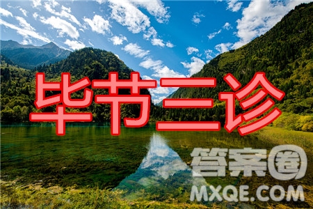 畢節(jié)市2020屆高三年級(jí)診斷性考試三文科數(shù)學(xué)試題及答案