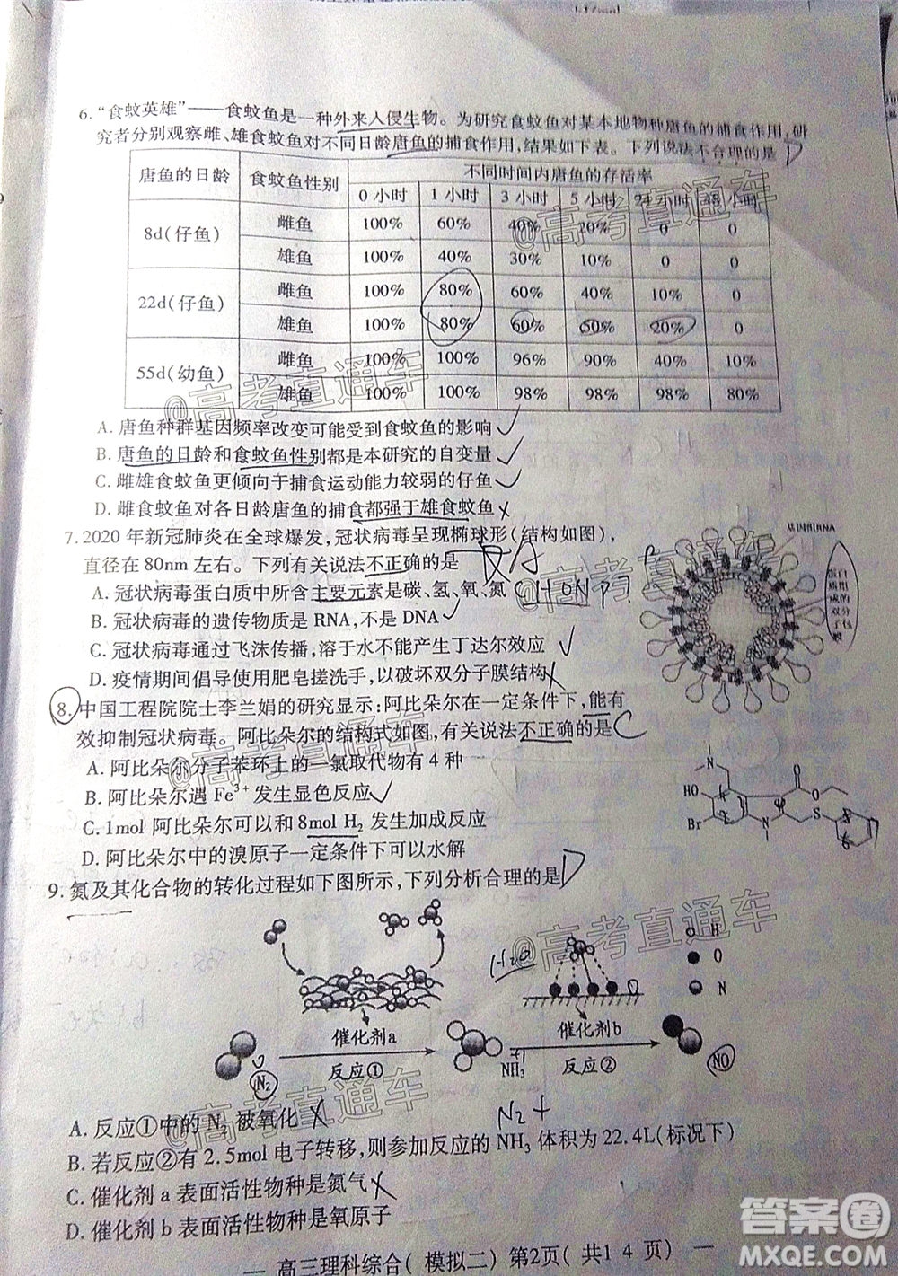 2020年南昌二模理科綜合試題及答案