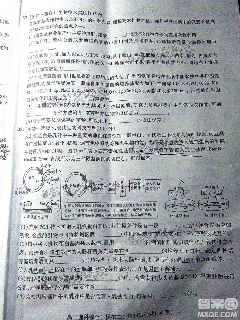 2020年南昌二模理科綜合試題及答案