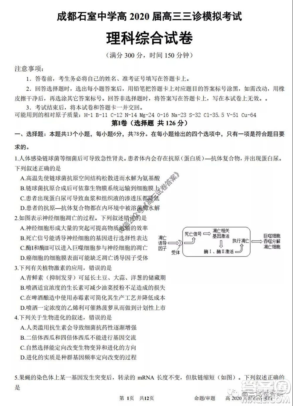 成都石室中學高2020屆高三三診模擬考試理科綜合試題及答案