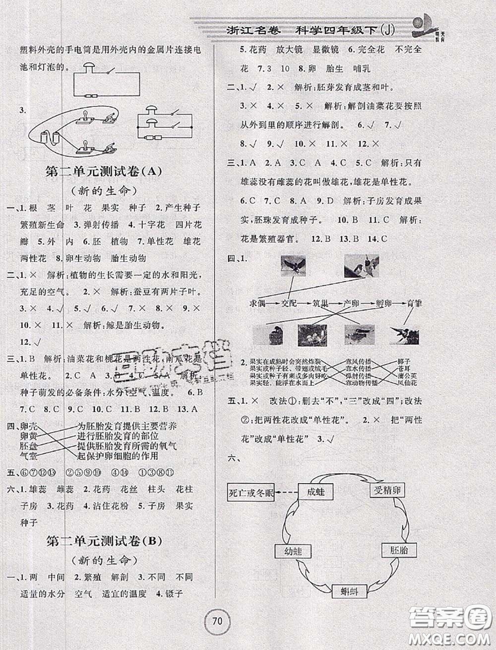 浙江大學(xué)出版社2020春浙江名卷四年級科學(xué)下冊教科版答案