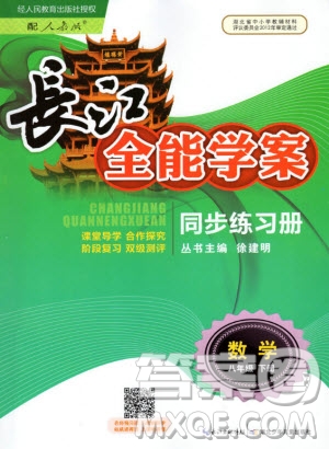 2020年長江全能學案同步練習冊數(shù)學八年級下冊人教版參考答案