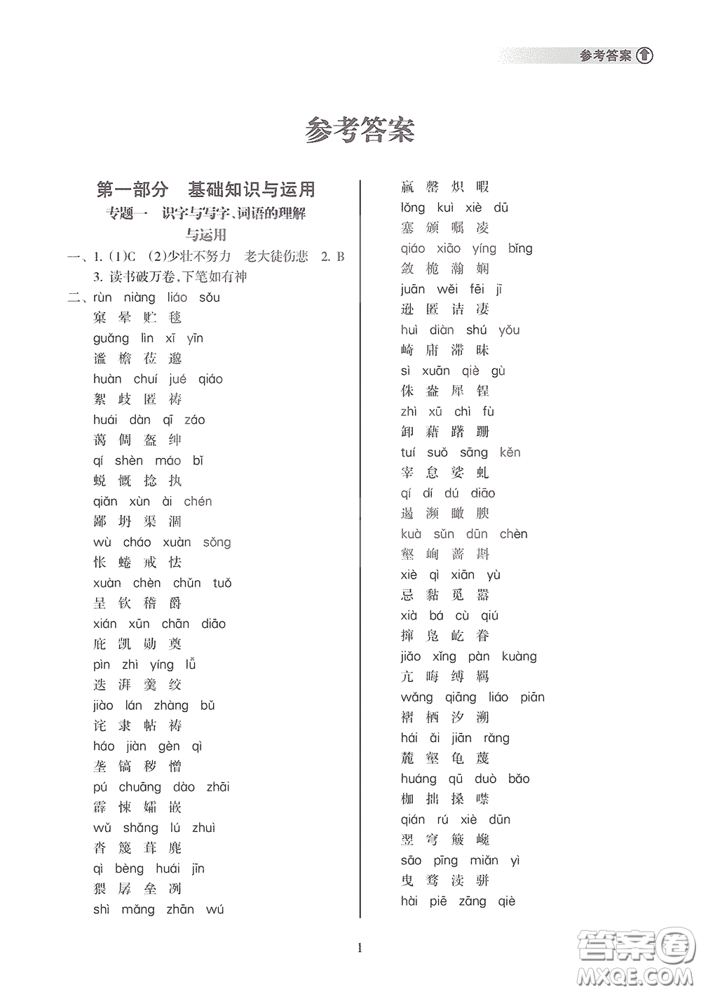 海南出版社2020海南中學(xué)中考總復(fù)習(xí)語(yǔ)文答案