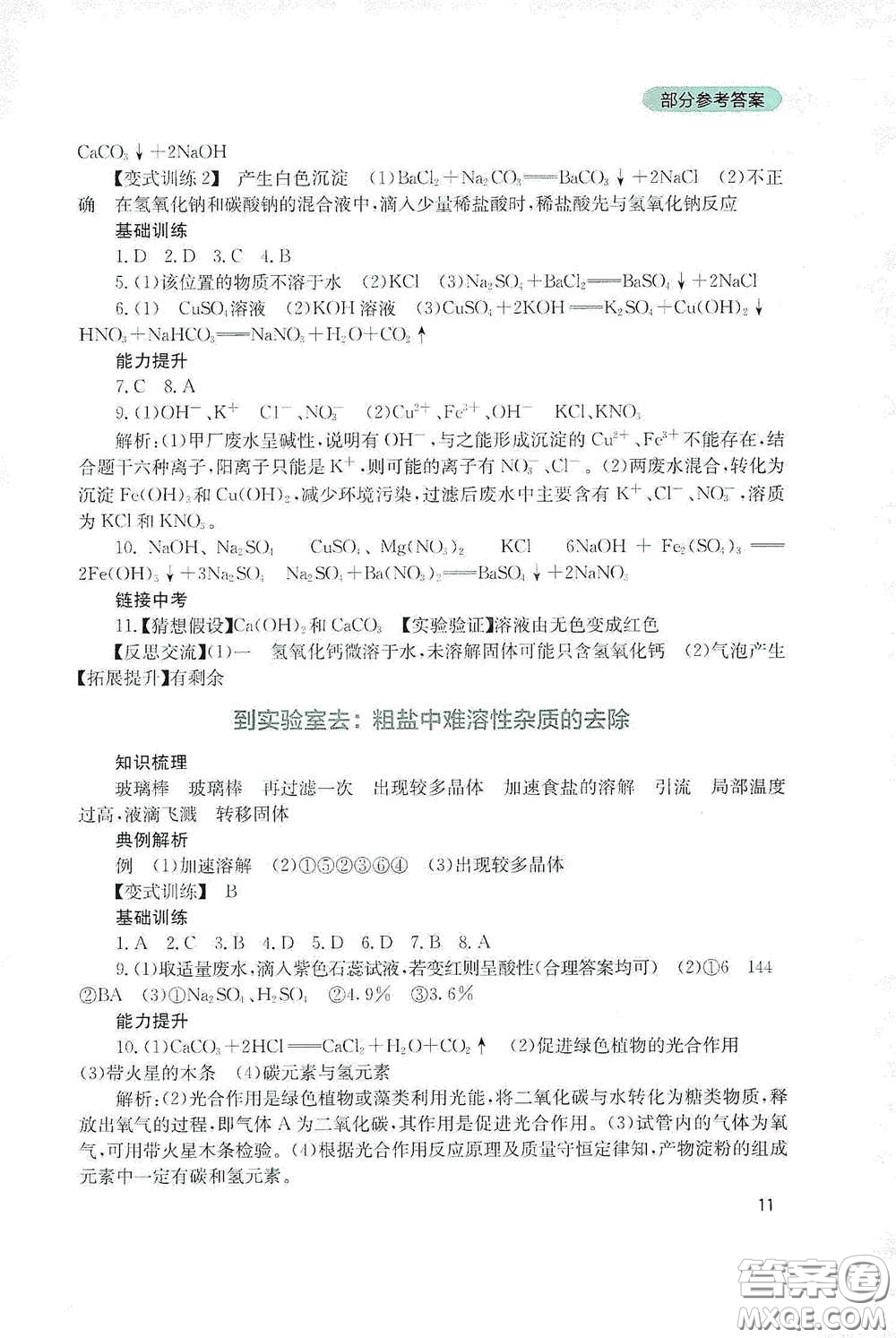 四川教育出版社2020新課程實踐與探究叢書九年級化學(xué)下冊山東教育版答案