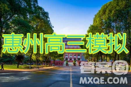 惠州市2020屆高三模擬考試?yán)砜茢?shù)學(xué)試題及答案