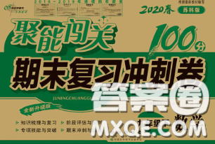 2020春聚能闖關(guān)100分期末復(fù)習(xí)沖刺卷九年級(jí)數(shù)學(xué)下冊(cè)蘇科版答案