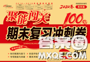 2020春聚能闖關(guān)100分期末復(fù)習(xí)沖刺卷九年級物理下冊蘇科版答案