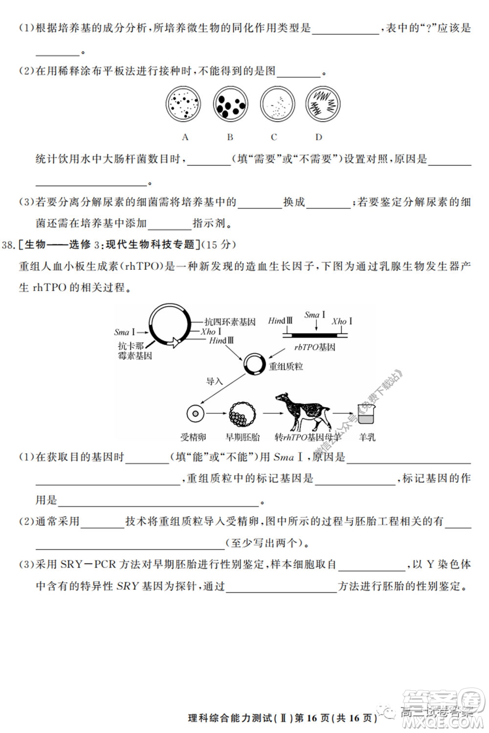 衡中同卷押題卷二2020年普通高等學校招生全國統(tǒng)一考試模擬試題理科綜合試題及答案