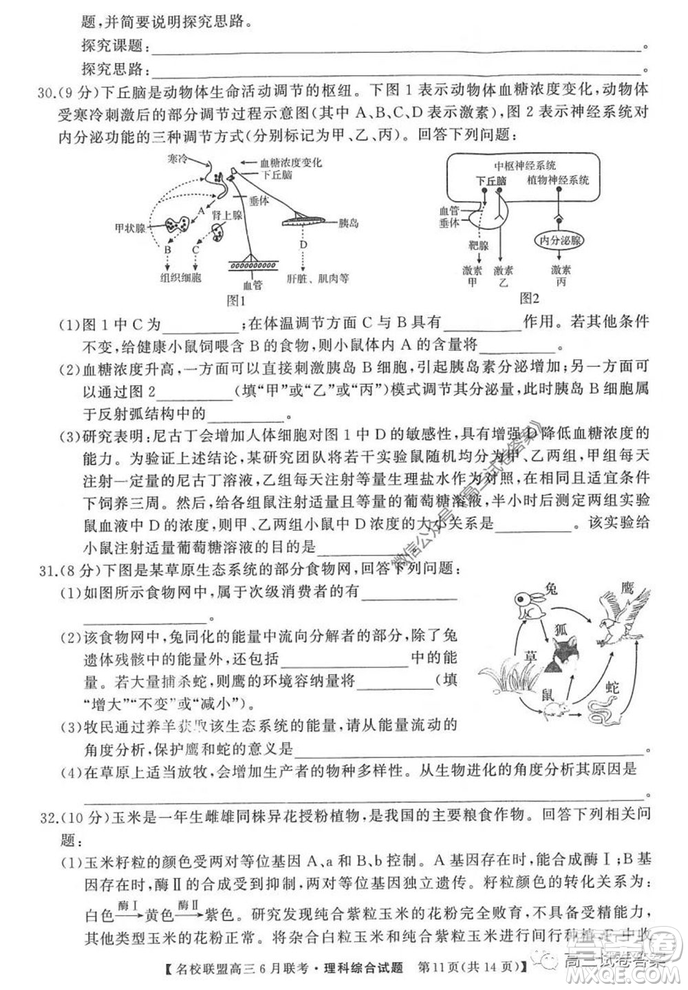 河南省名校聯(lián)盟2020屆高三下學期6月聯(lián)考理科綜合試題及答案