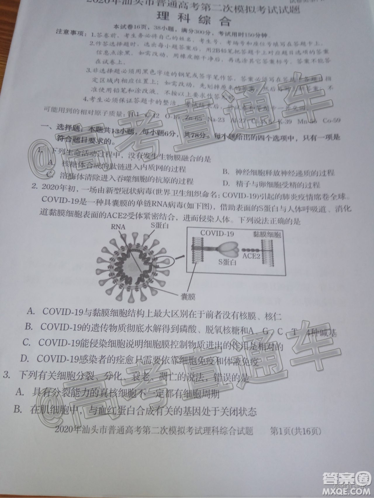 2020年汕頭市普通高考第二次模擬考試?yán)砜凭C合試題及答案