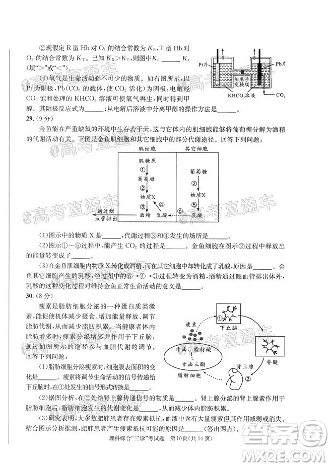 成都市2017級(jí)高中畢業(yè)班第三次診斷性檢測(cè)理科綜合試題及答案