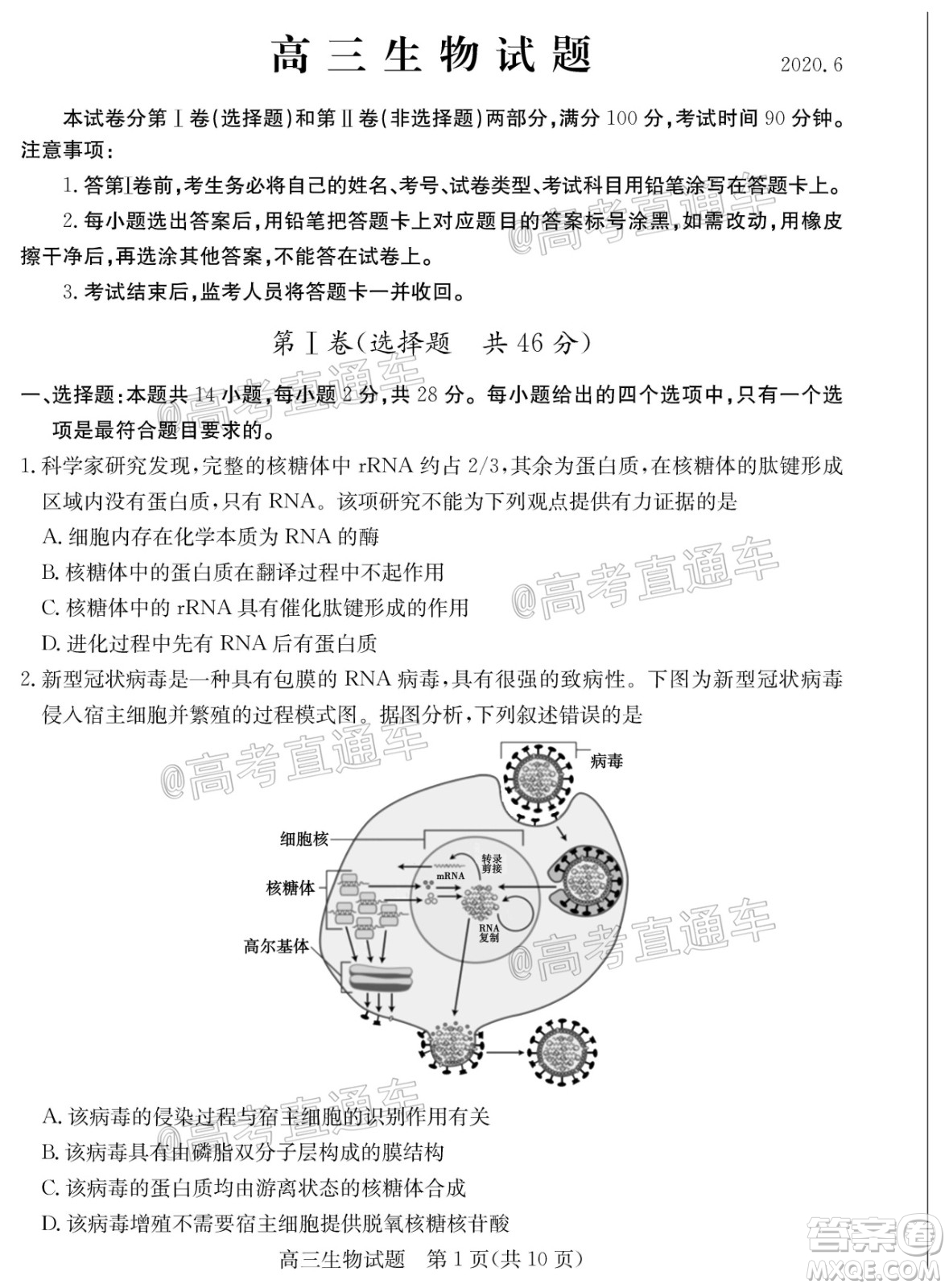 2020年德州二模高三生物試題及答案