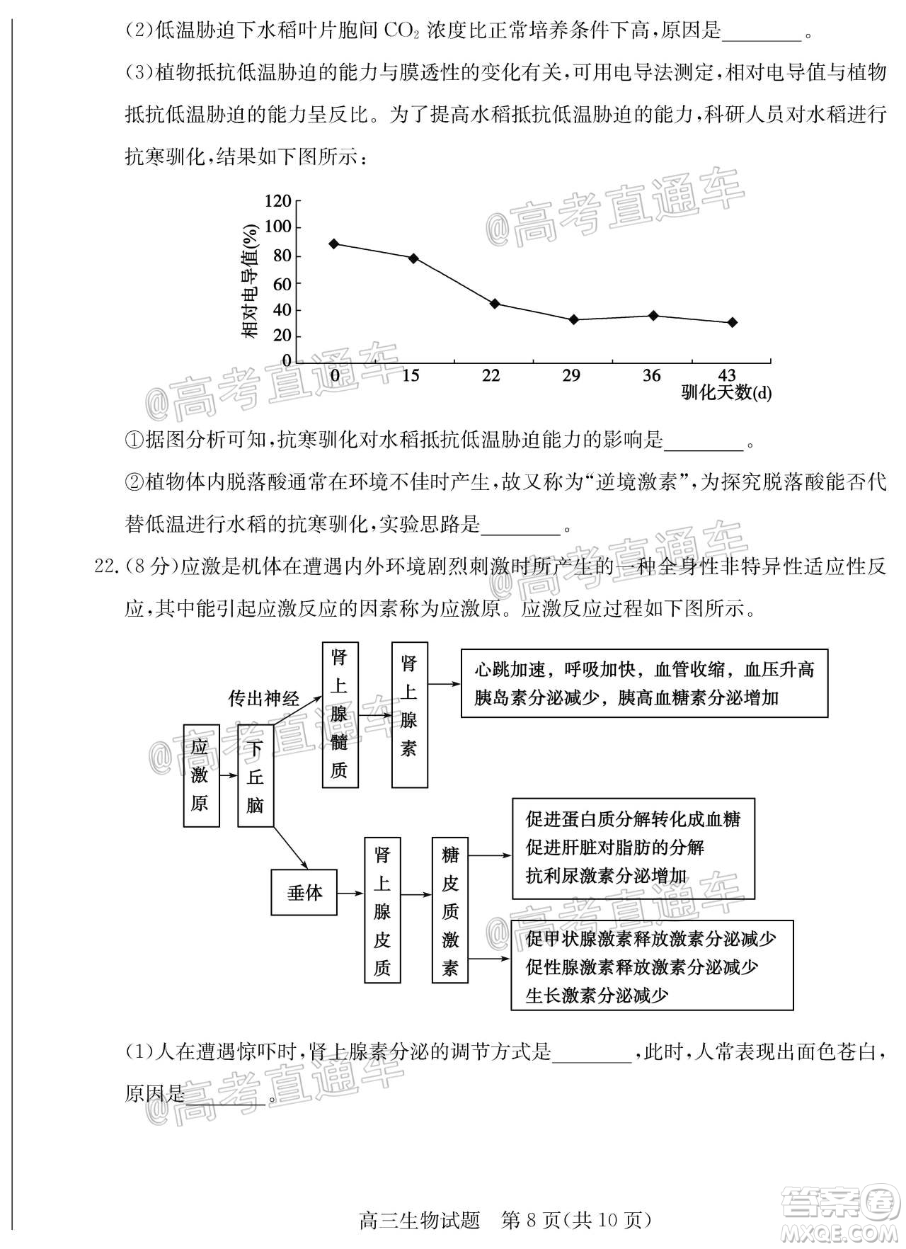 2020年德州二模高三生物試題及答案