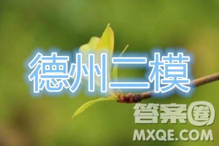 2020年德州二模高三英語(yǔ)試題及答案