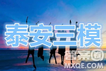 泰安三模2020年高考全真模擬題政治試題及答案