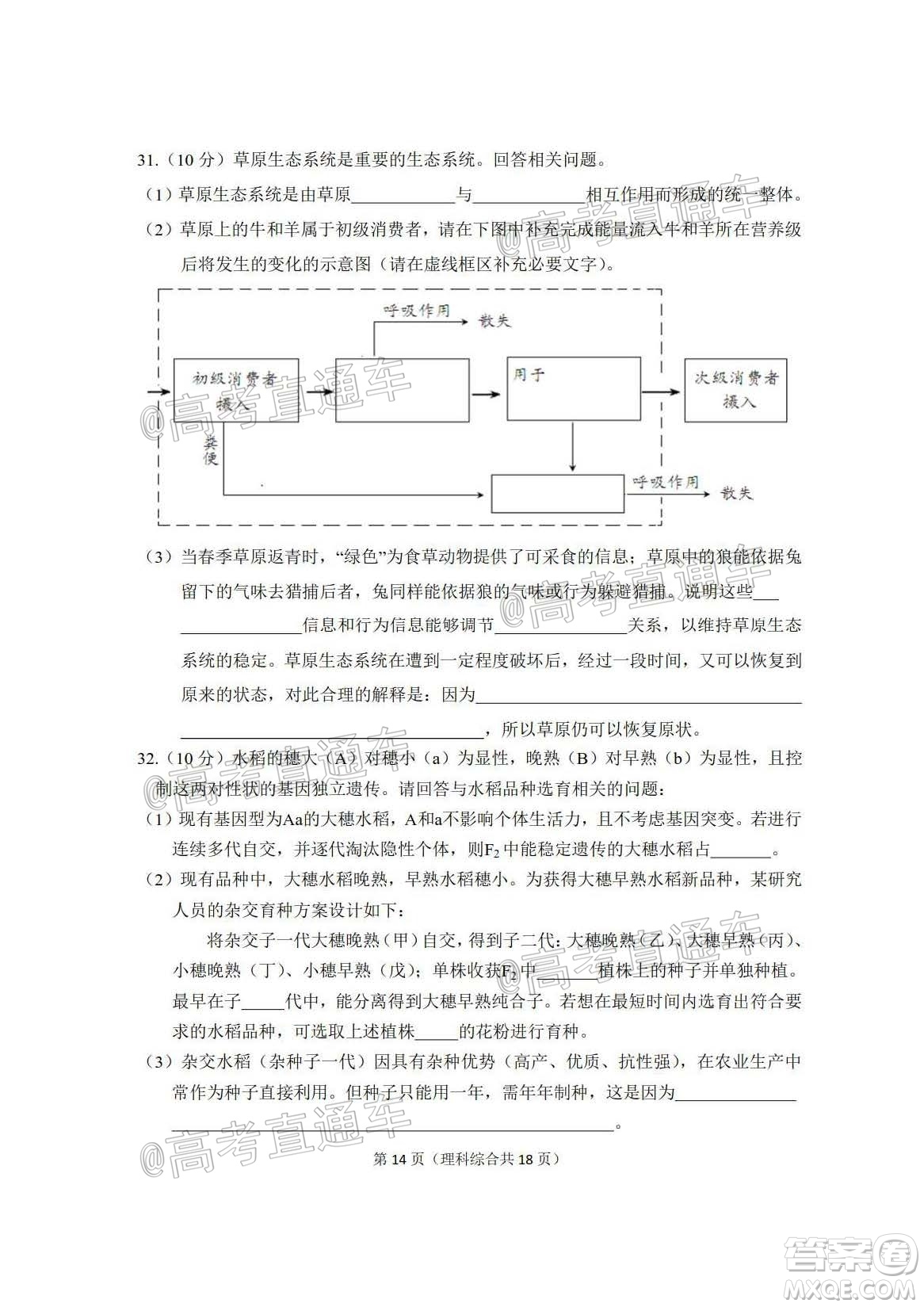 2020年大連市高三第二次模擬考試?yán)砜凭C合試題及答案