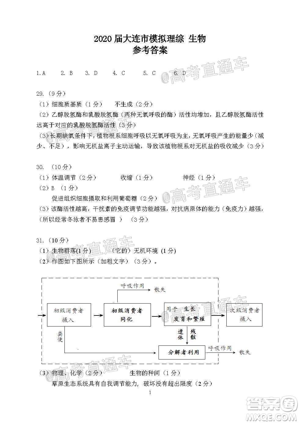 2020年大連市高三第二次模擬考試?yán)砜凭C合試題及答案