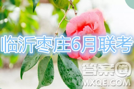 2020年臨沂棗莊6月聯(lián)考高三數(shù)學試題及答案