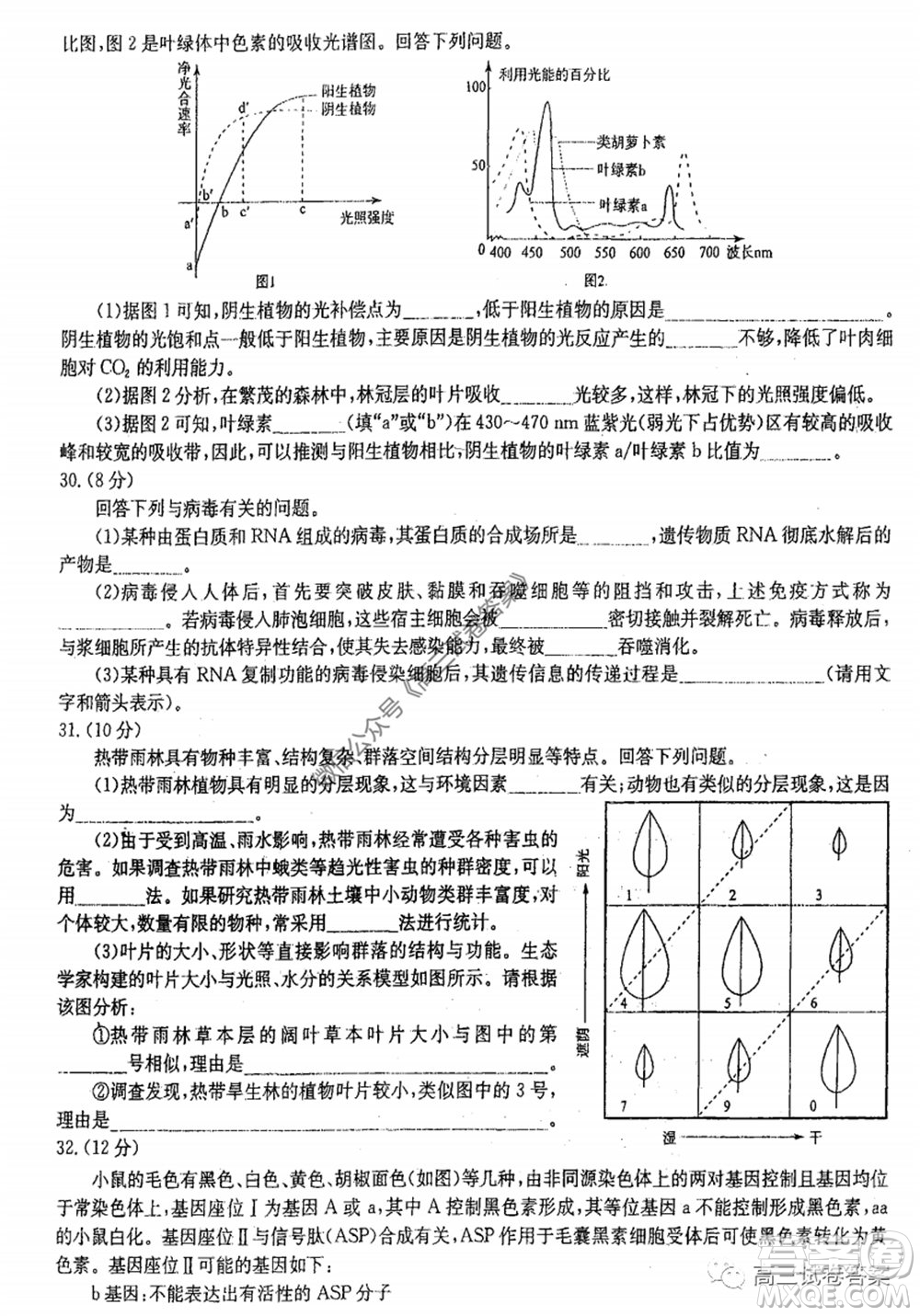 華中師大附中2020屆高三高考預(yù)測卷理科綜合試題及答案