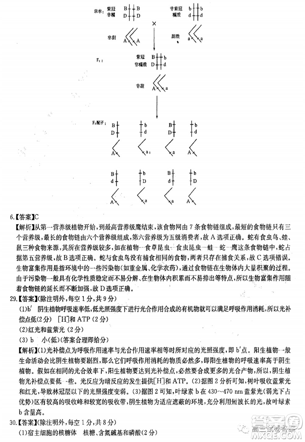 華中師大附中2020屆高三高考預(yù)測卷理科綜合試題及答案