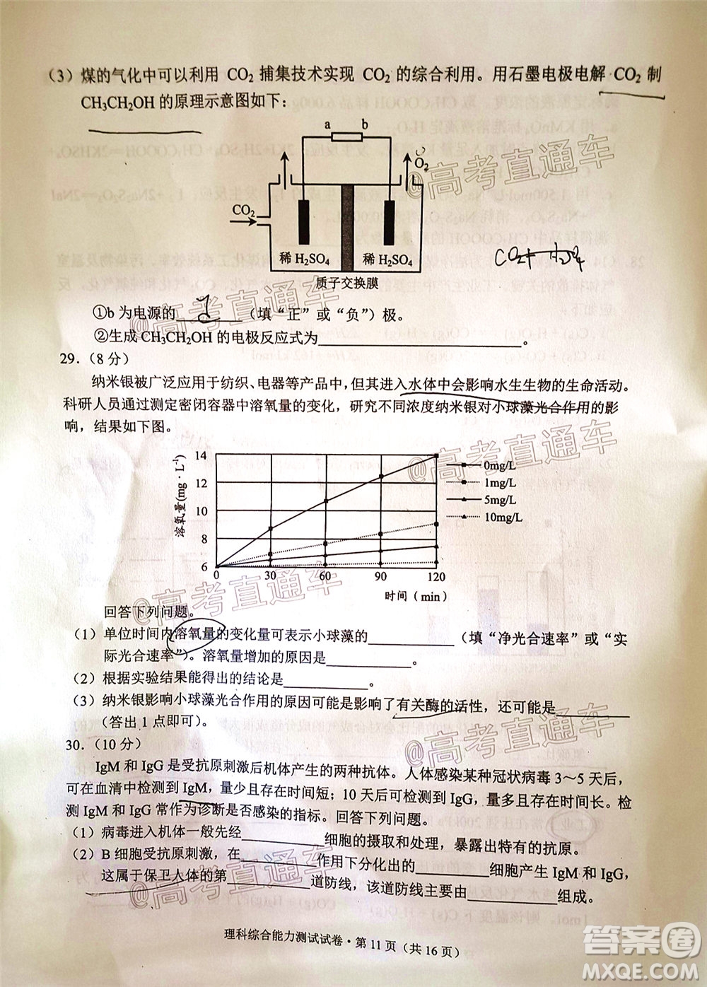 昆明市2020屆三診一模高考模擬考試?yán)砜凭C合試題及答案