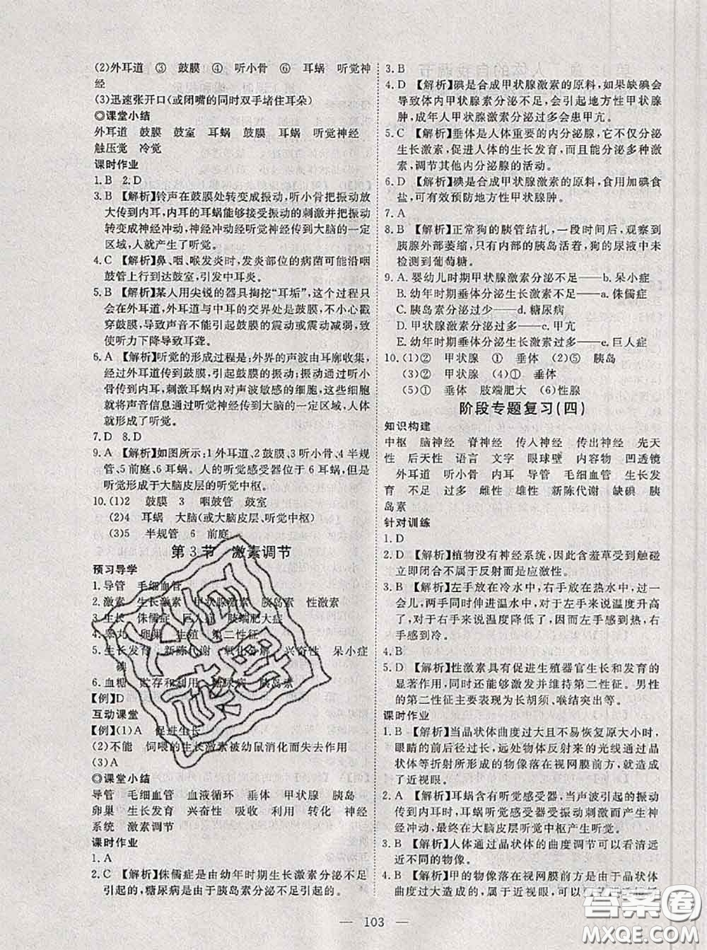 2020新版351高效課堂導(dǎo)學(xué)案七年級生物下冊北師版答案