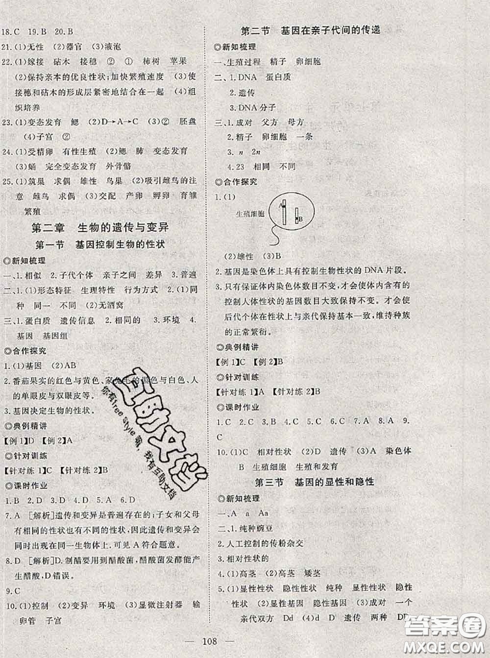 2020新版351高效課堂導(dǎo)學(xué)案八年級生物下冊人教版答案