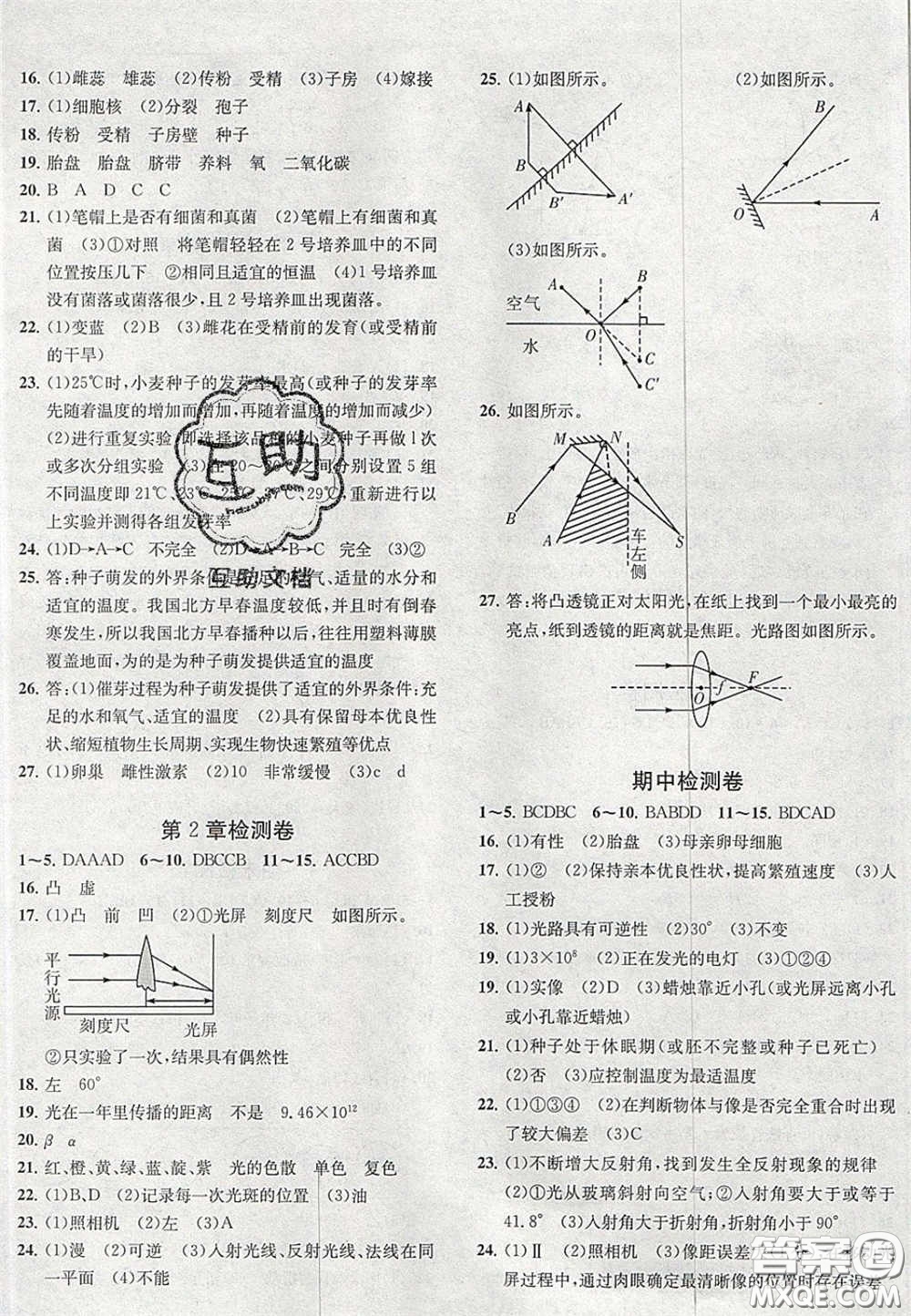 2020年一閱優(yōu)品直通重高七年級(jí)科學(xué)下冊(cè)浙教版答案