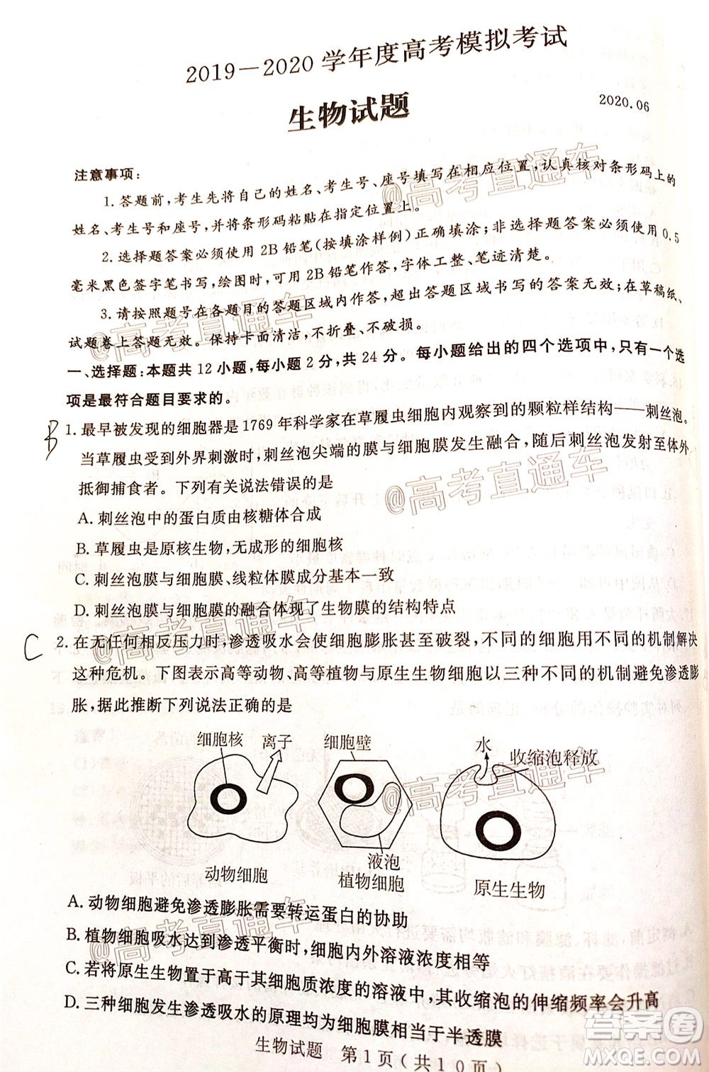 濟(jì)寧二模2019-2020學(xué)年度高考模擬考試生物試題及答案