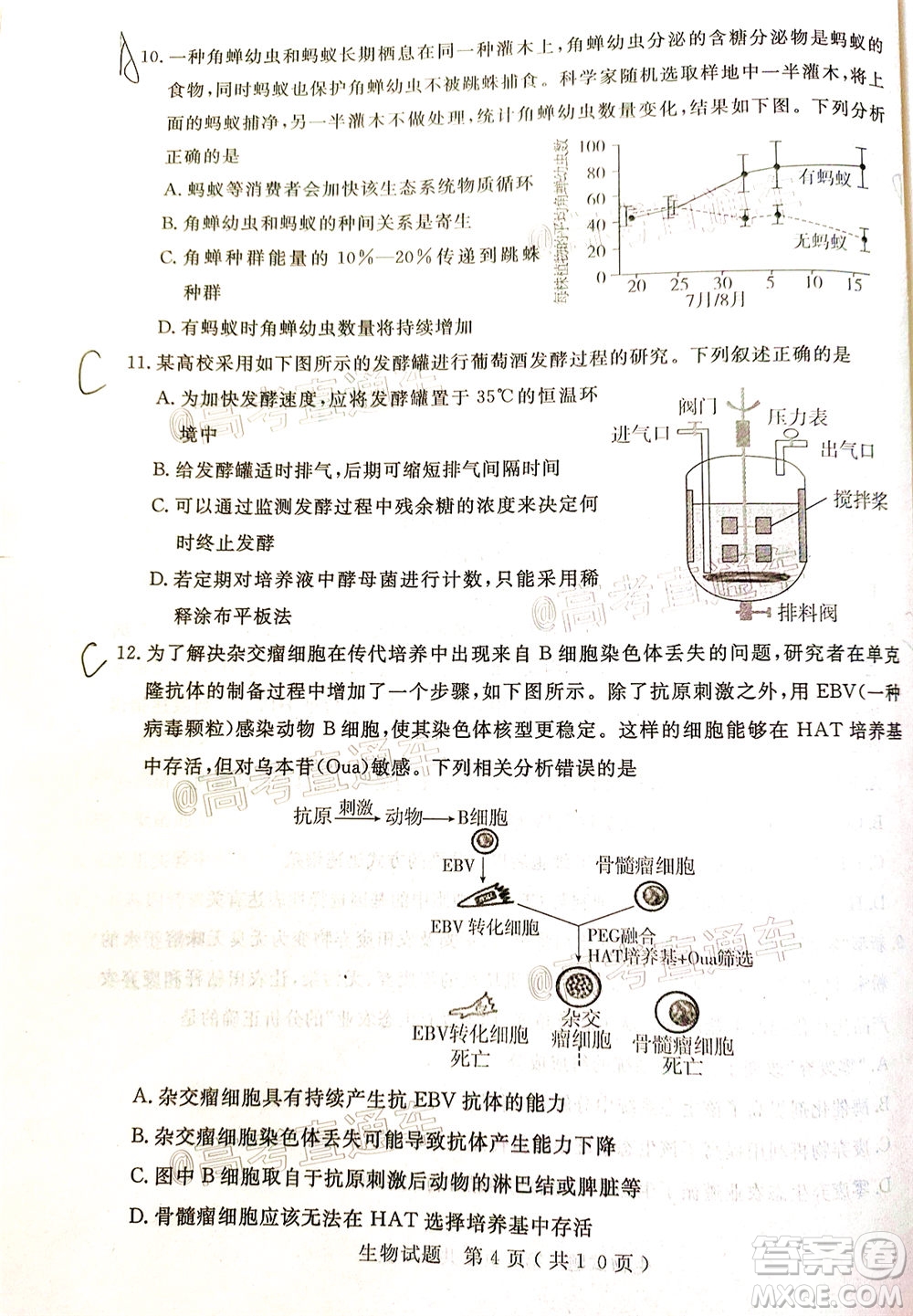 濟(jì)寧二模2019-2020學(xué)年度高考模擬考試生物試題及答案