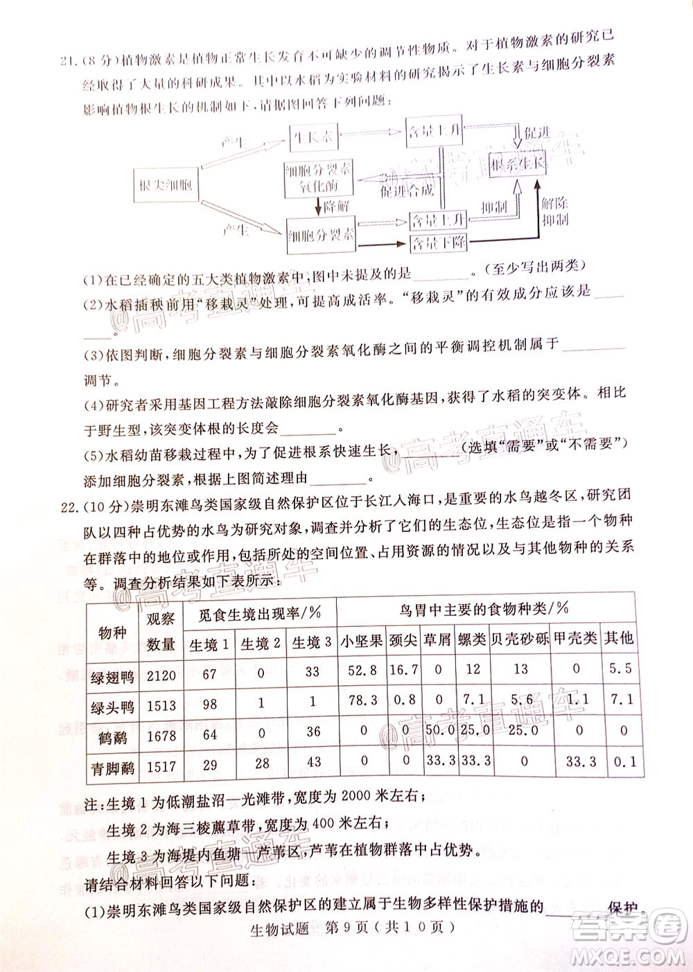 濟(jì)寧二模2019-2020學(xué)年度高考模擬考試生物試題及答案