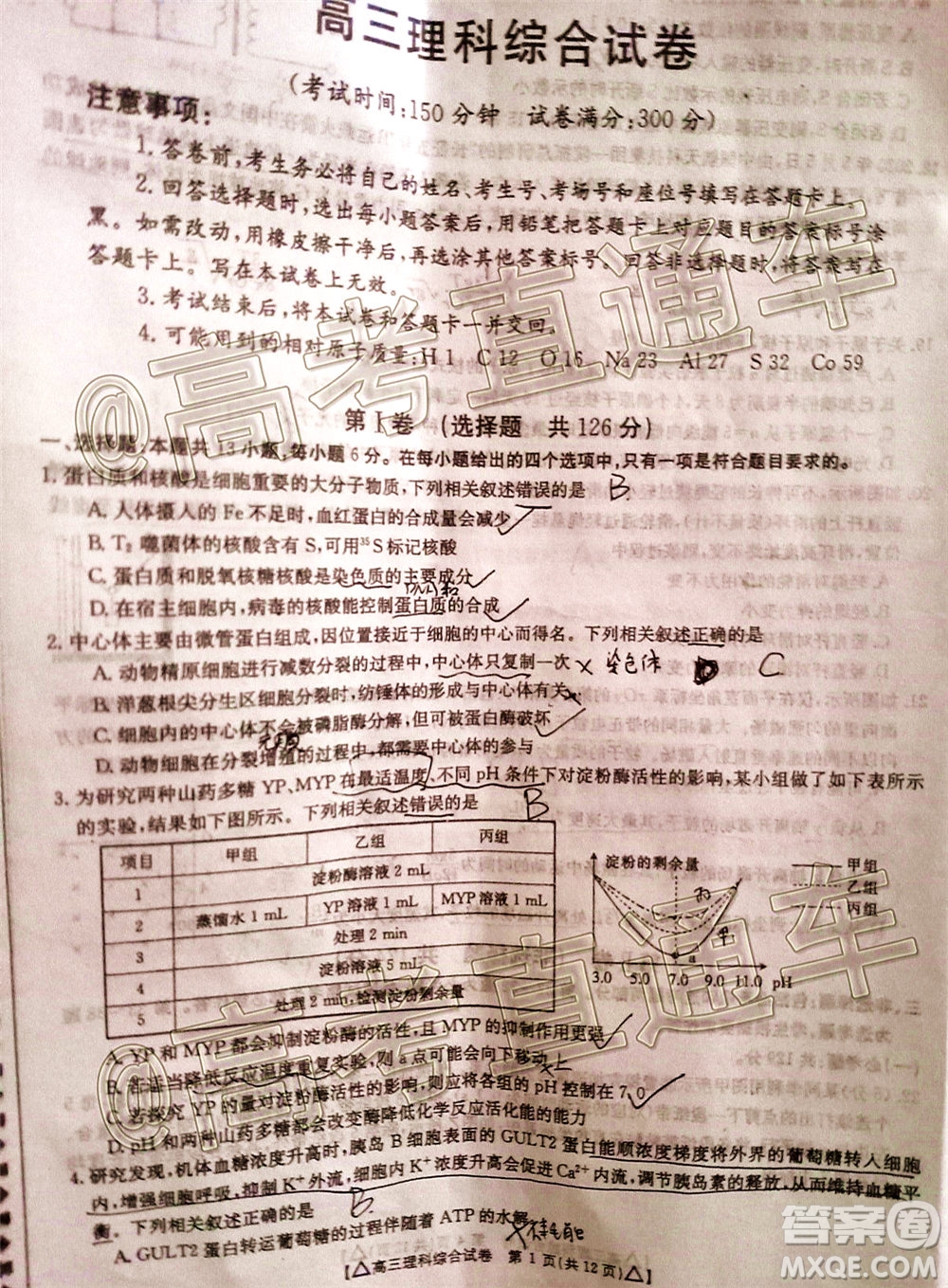 2020年金太陽(yáng)百萬(wàn)聯(lián)考全國(guó)II卷三角形高三理科綜合試題及答案