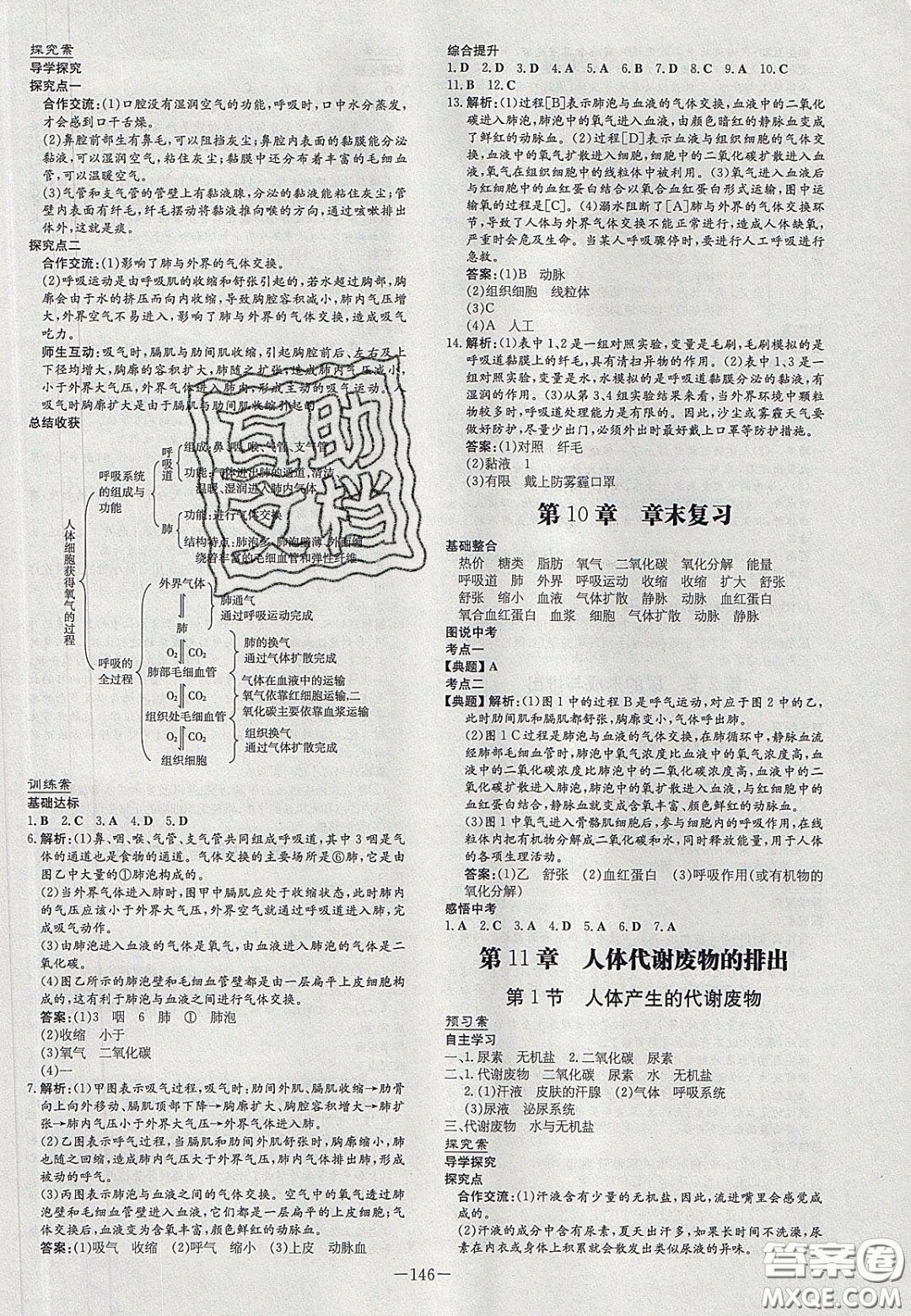 2020初中同步學習導與練導學探究案七年級生物下冊北師大版答案