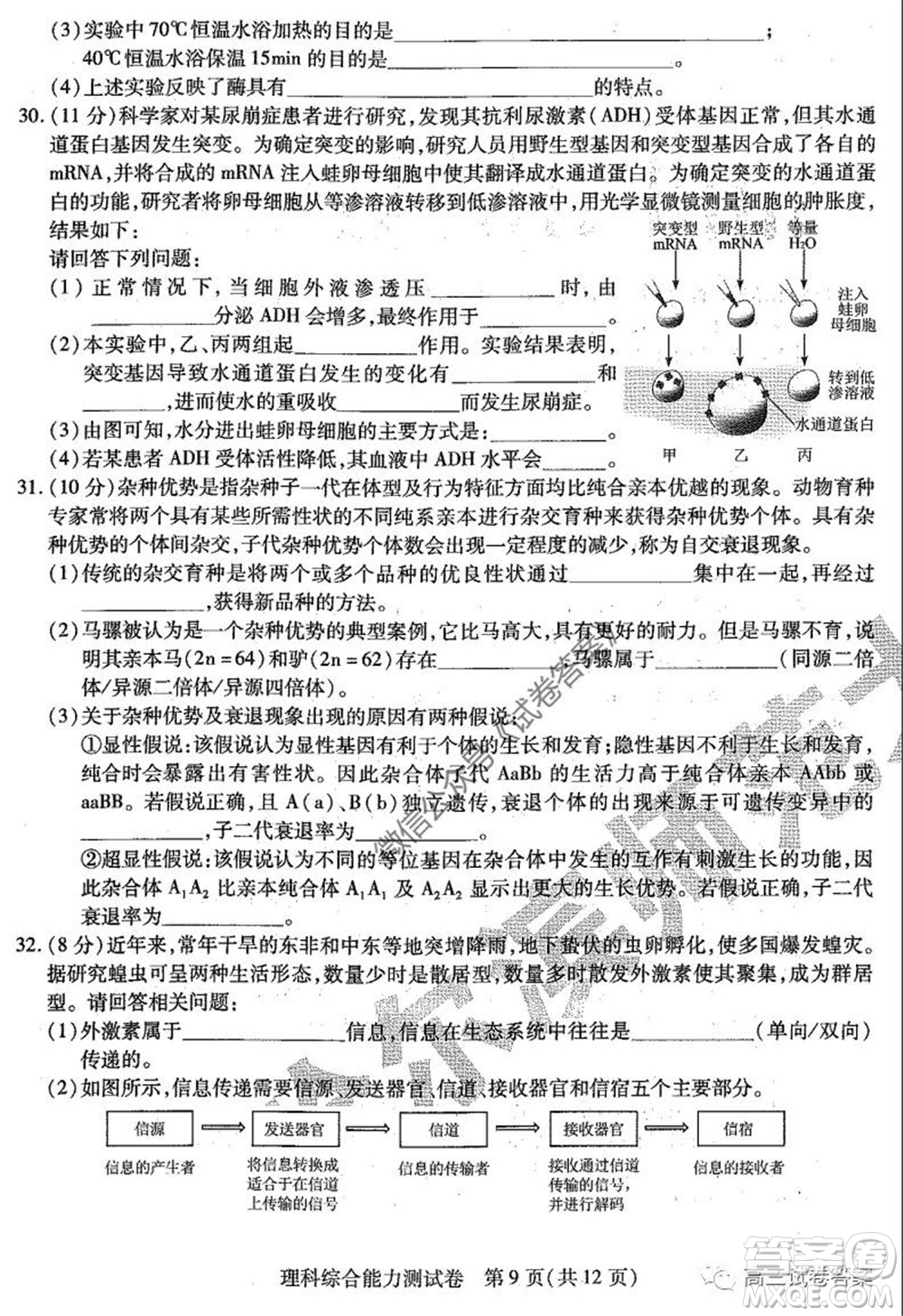 哈師大附中2020年高三第三次模擬考試理科綜合試題及答案