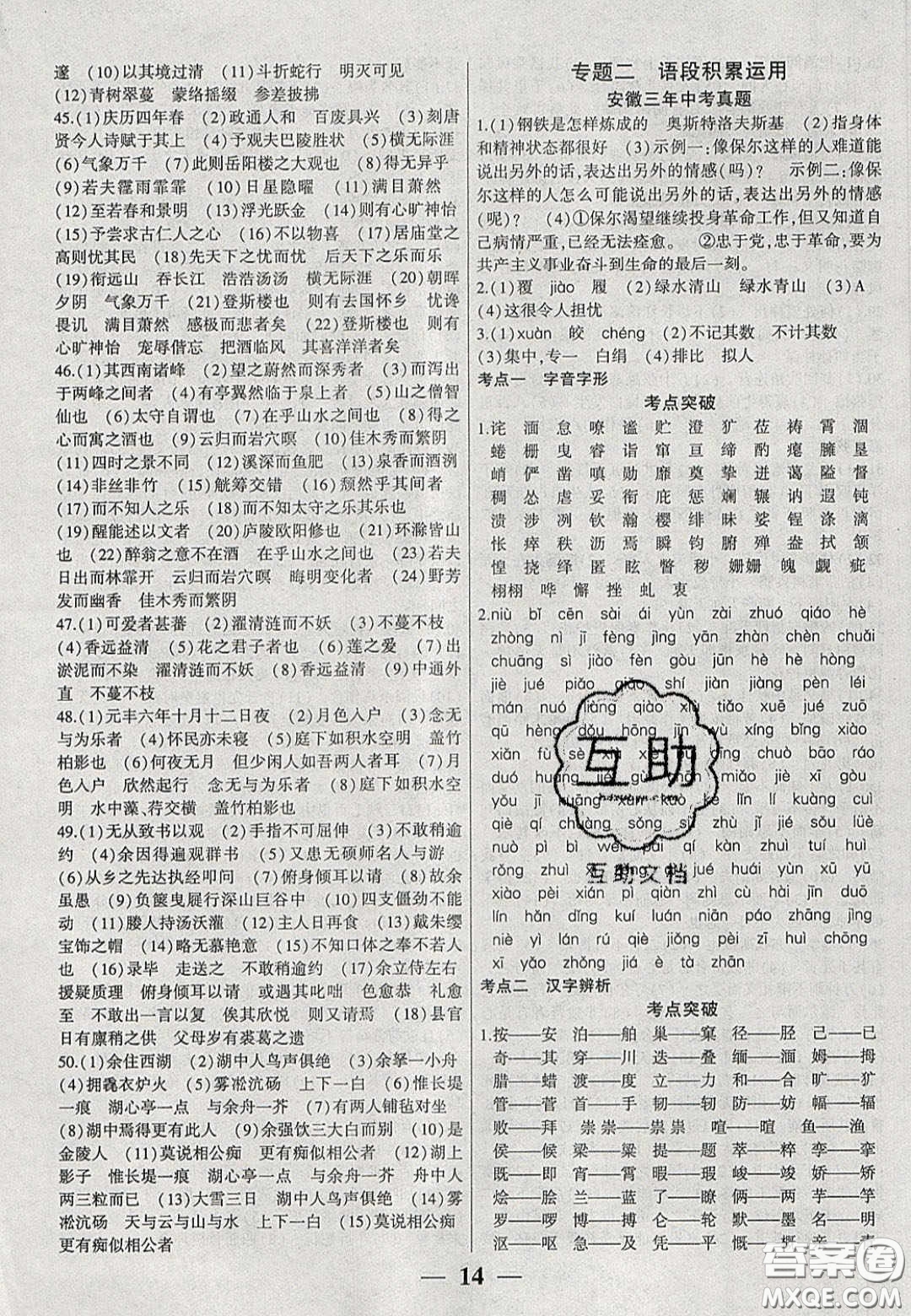 2020年安徽中考全程突破語(yǔ)文人教版答案