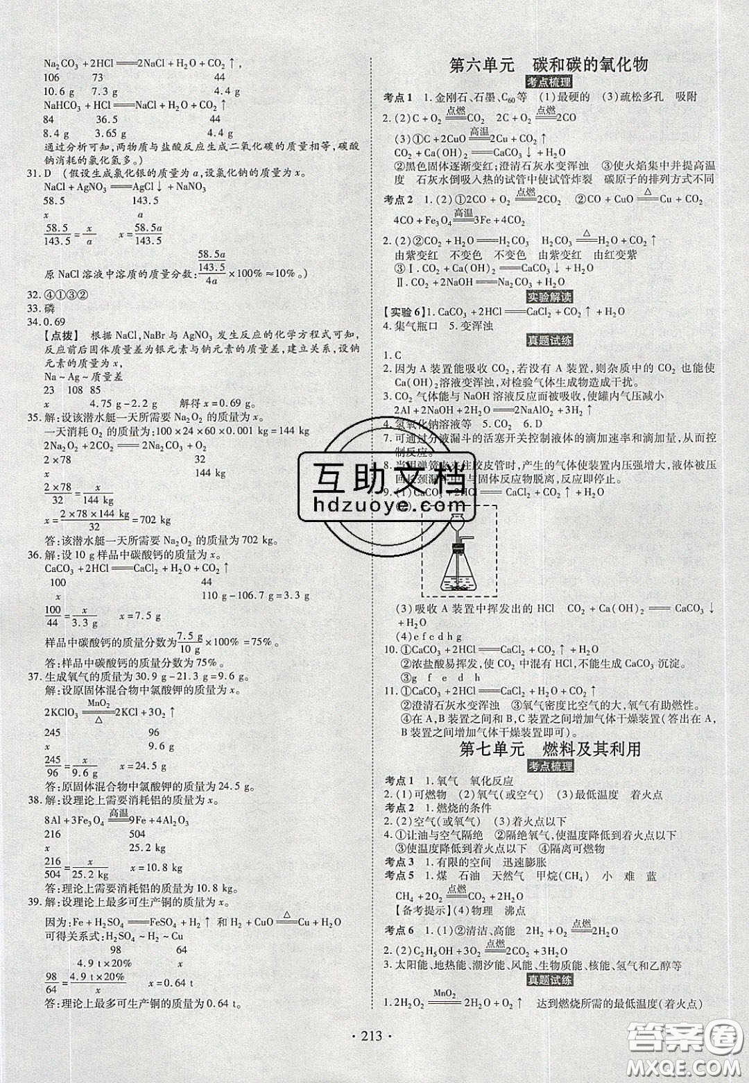 2020年河南中考風(fēng)向標初中總復(fù)習(xí)化學(xué)答案