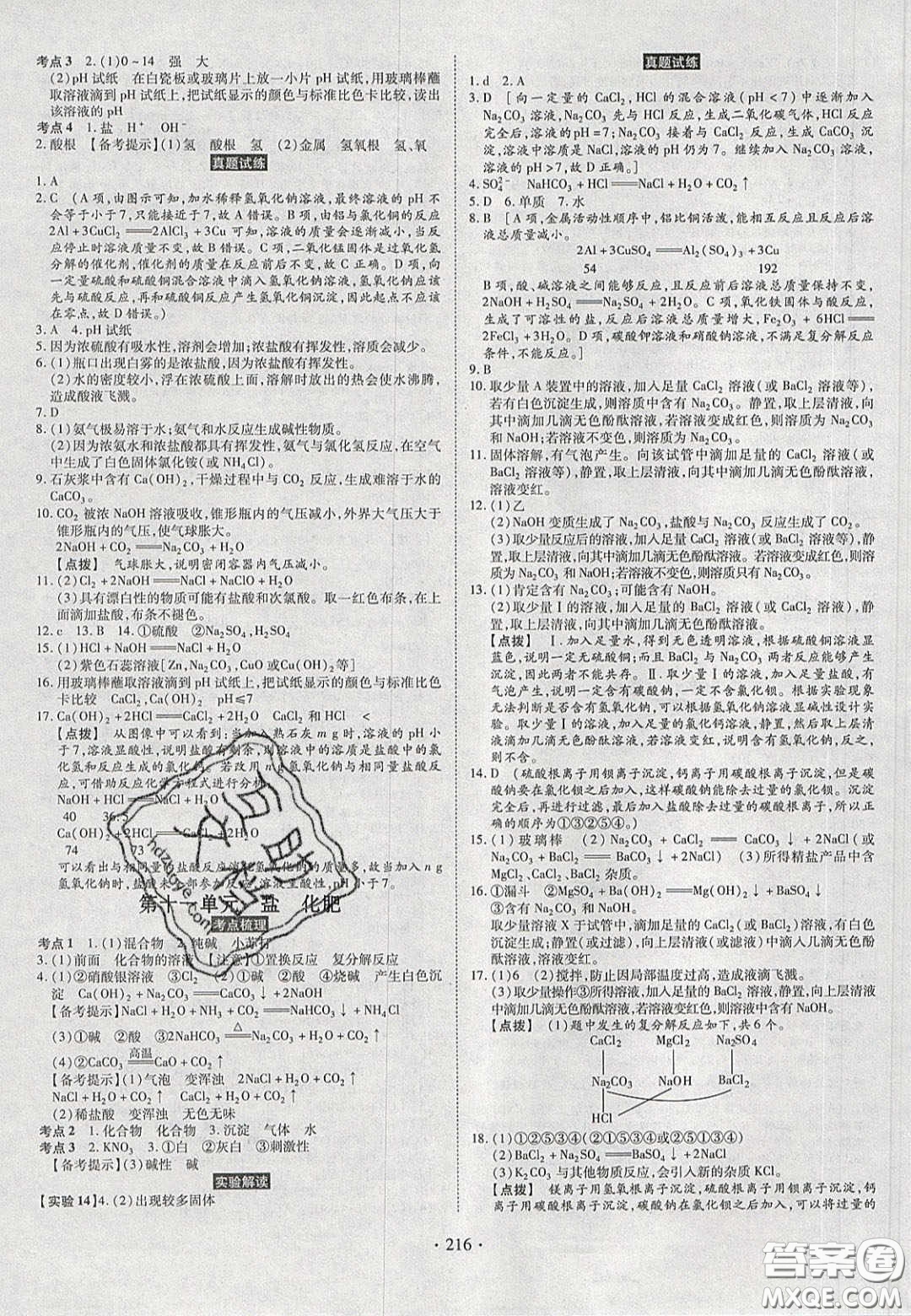 2020年河南中考風(fēng)向標初中總復(fù)習(xí)化學(xué)答案