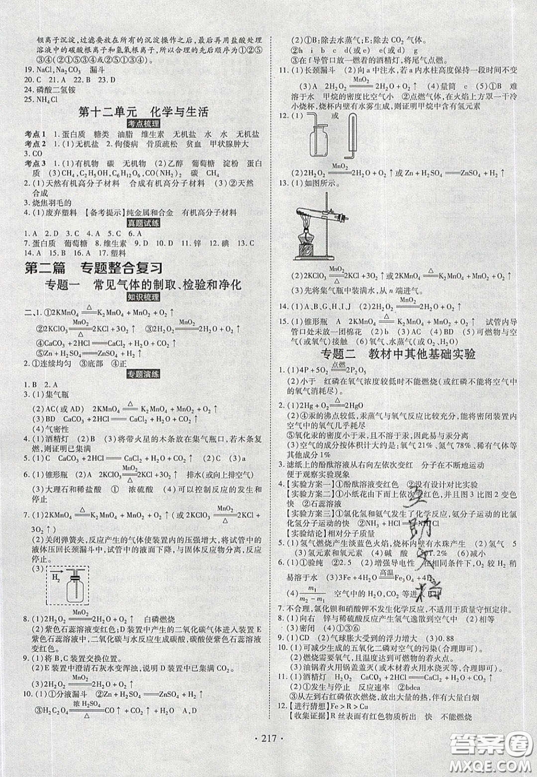 2020年河南中考風(fēng)向標初中總復(fù)習(xí)化學(xué)答案