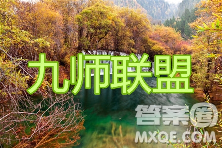 九師聯(lián)盟2019-2020學(xué)年高三6月質(zhì)量檢測理科數(shù)學(xué)試題及答案