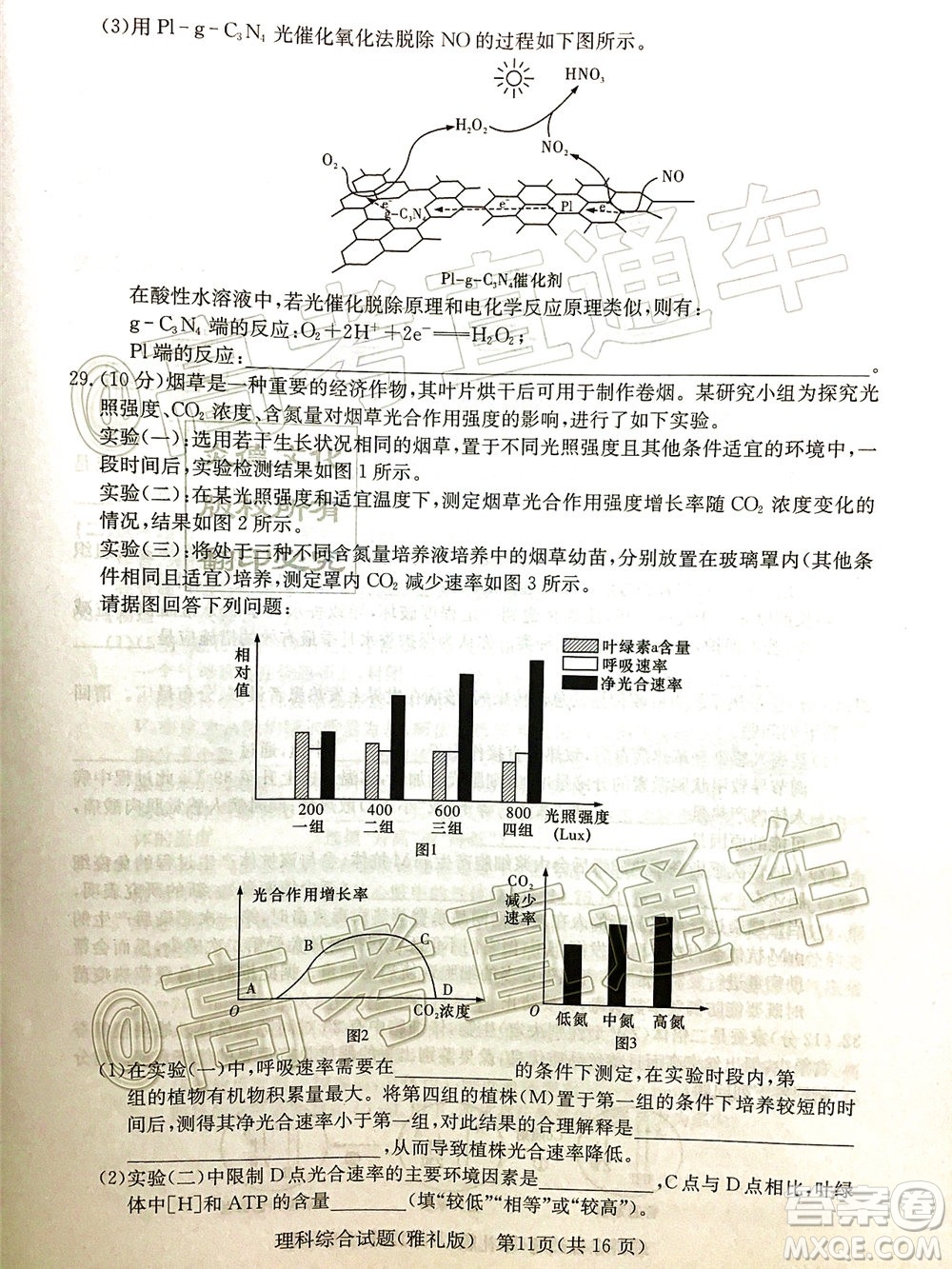 炎德英才大聯(lián)考雅禮中學2020屆高考模擬卷二理科綜合試題及答案