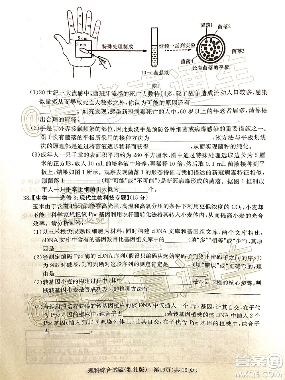 炎德英才大聯(lián)考雅禮中學2020屆高考模擬卷二理科綜合試題及答案