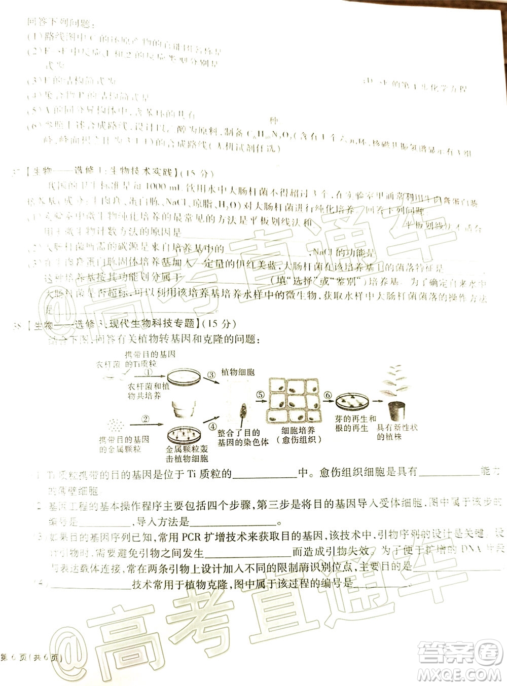 合肥一中2020屆高三最后一卷理科綜合試題及答案