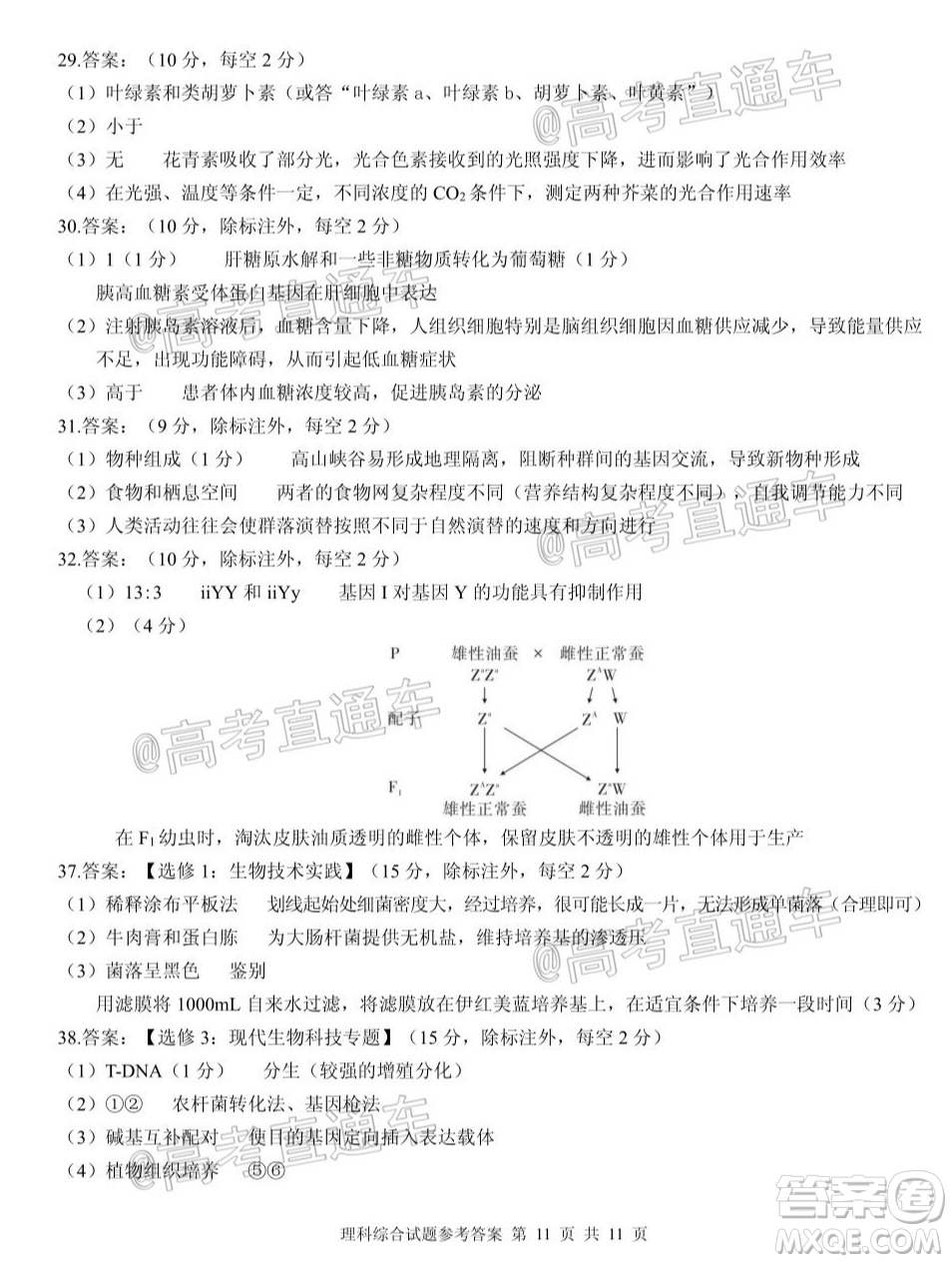 合肥一中2020屆高三最后一卷理科綜合試題及答案