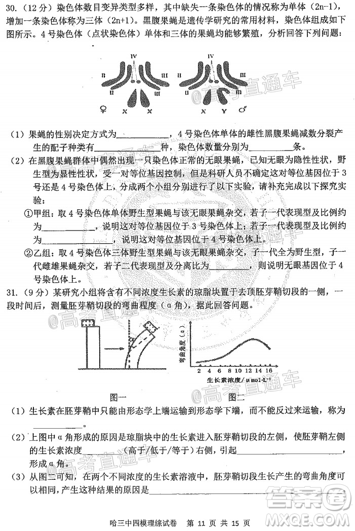 2020年哈三中高三學(xué)年第四次模擬考試?yán)砜凭C合試題及答案