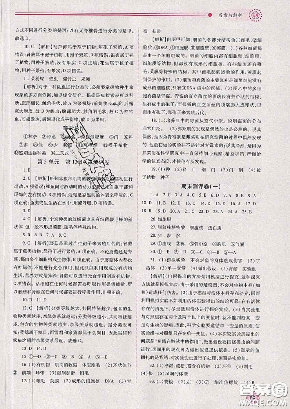 陜西師范大學(xué)出版社2020春績(jī)優(yōu)學(xué)案七年級(jí)生物下冊(cè)蘇科版答案