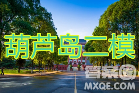 2020年葫蘆島市普通高中高三第二次模擬考試文科數(shù)學(xué)試題及答案